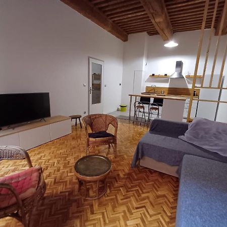 Old Town - Vieux Lyon -50 M2 Flat Apartman Kültér fotó