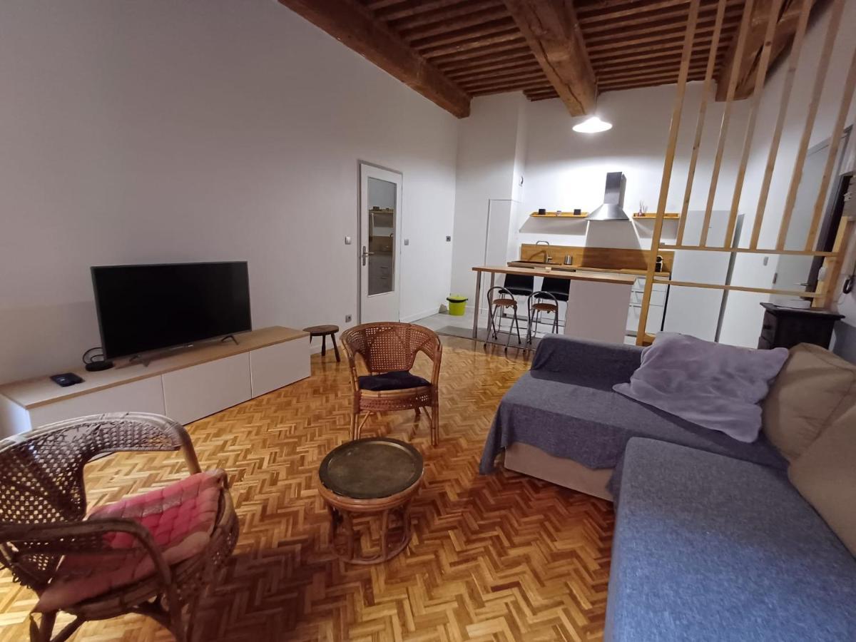 Old Town - Vieux Lyon -50 M2 Flat Apartman Kültér fotó